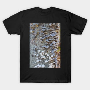 Turkey Tails and Falsies T-Shirt